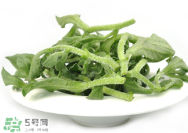 ?冰草為什么會(huì)酸？冰草為什么是酸的？