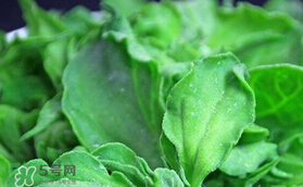 孕婦可以吃冰草嗎？冰草對(duì)孕婦有什么好處？