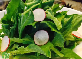 冰草可以生吃嗎？冰草生吃什么味道？