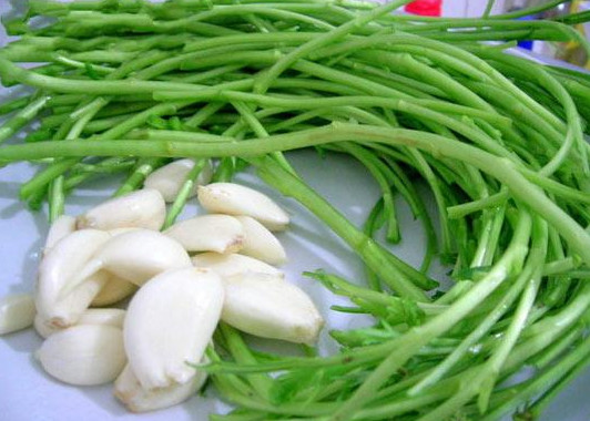 泥蒿的葉子可以吃嗎？泥蒿的葉子能不能吃