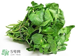 哺乳期能吃西洋菜嗎？哺乳期可以吃西洋菜嗎