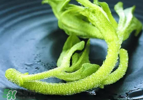 冰草吃了有什么好處？冰草的營養(yǎng)價值