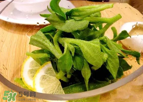 冰草用什么醬？冰草用什么醬好吃？