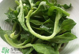 冰菜為什么會酸？冰菜為什么是咸的？