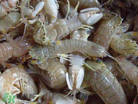 蝦爬子死了能吃嗎？蝦爬子死能放多久？