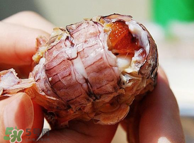 蝦爬子什么季節(jié)最肥？蝦爬子幾月份最肥？