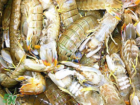 蝦爬子什么季節(jié)最肥？蝦爬子幾月份最肥？