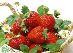 蝦爬子和草莓能一起吃嗎？吃完蝦爬子能吃草莓嗎？