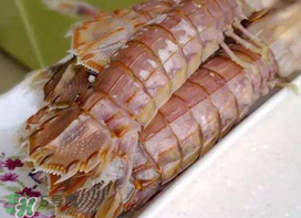 蝦爬子能冷凍嗎？蝦爬子可以冷藏嗎？