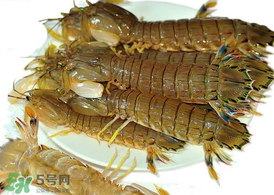 蝦爬子能冷凍嗎？蝦爬子可以冷藏嗎？