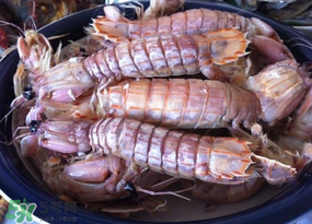 皮皮蝦用涼水還是熱水？煮皮皮蝦涼水還是開水？