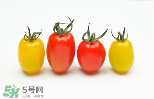 圣女果是什么？圣女果是西紅柿嗎
