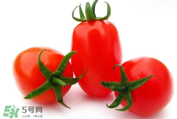 圣女果是什么？圣女果是西紅柿嗎
