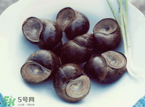 田螺不能和什么一起吃？田螺和什么不能一起吃？
