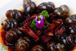 田螺不能和什么一起吃？田螺和什么不能一起吃？