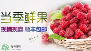 刺泡是覆盆子嗎？刺泡和覆盆子的區(qū)別