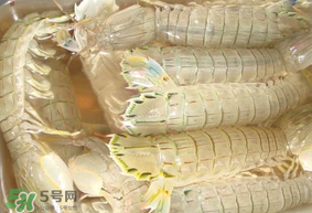 蝦爬子綠色怎么回事？蝦爬子變黑還能吃嗎？