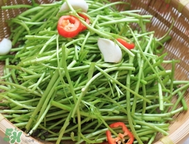 泥蒿怎么做好吃？泥蒿做法