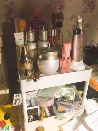 資生堂悅薇和怡麗絲爾哪個(gè)好？資生堂悅薇和怡麗絲爾對(duì)比