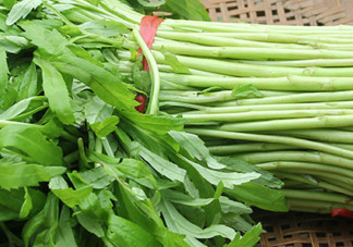 泥蒿的葉子可以吃嗎？泥蒿的葉子能不能吃