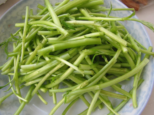 蘆蒿是發(fā)物嗎？蘆蒿是不是發(fā)物