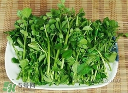 哺乳期能吃西洋菜嗎？哺乳期可以吃西洋菜嗎