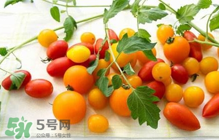 圣女果是轉(zhuǎn)基因的嗎？圣女果轉(zhuǎn)基因食品嗎