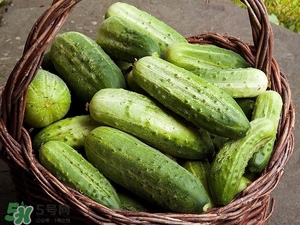 黃瓜根能吃嗎？黃瓜根可以吃嗎？