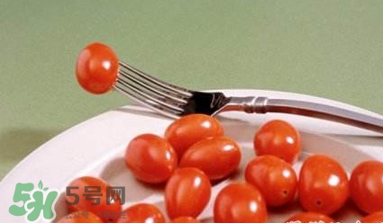 圣女果是什么？圣女果是西紅柿嗎