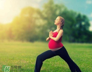 孕婦能吃雞精嗎？孕婦能吃雞精和味精嗎？