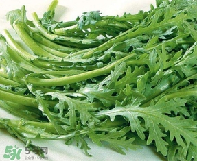 蘆蒿與茼蒿有什么區(qū)別？蘆蒿和茼蒿的區(qū)別