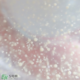 資生堂悅薇和怡麗絲爾哪個(gè)好？資生堂悅薇和怡麗絲爾對(duì)比