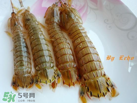 蝦爬子能放多久？蝦爬子怎么保存時間長？