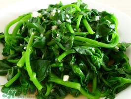 穿心蓮和田七一樣嗎？穿心蓮與田七的區(qū)別