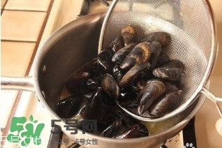 青口貝如何清洗？青口貝怎么處理