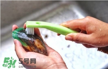 青口貝如何清洗？青口貝怎么處理