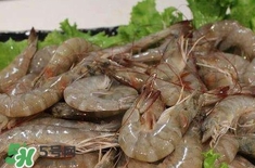 如何挑選新鮮的蝦？買蝦時(shí)候怎么挑選