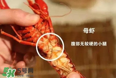 蝦子怎么吃？蝦子的吃法