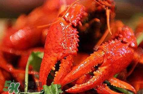 蝦子有什么營養(yǎng)？蝦子有什么營養(yǎng)價(jià)值