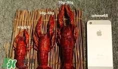 蝦子怎么吃？蝦子的吃法