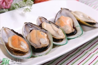 青口貝能生吃嗎？青口貝能多吃嗎