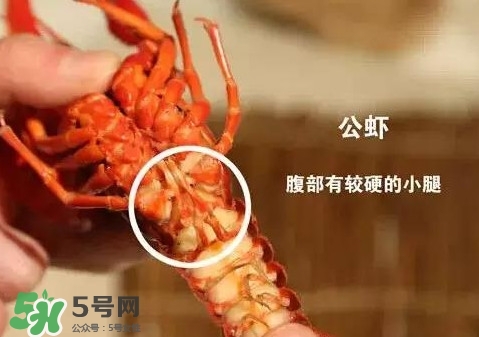 蝦子怎么吃？蝦子的吃法
