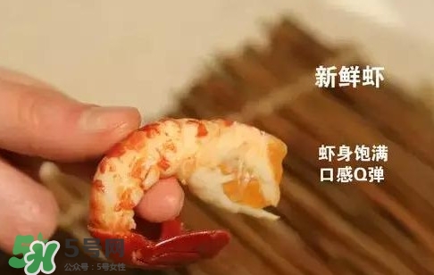 蝦子怎么吃？蝦子的吃法