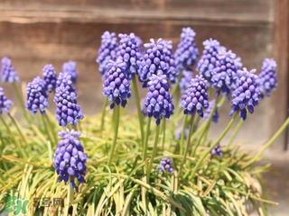 溫和好用的潔面乳排行榜 溫和的潔面產(chǎn)品推薦