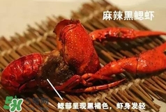 蝦子怎么吃？蝦子的吃法