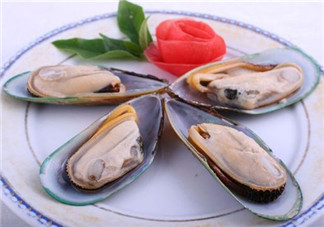 青口貝能生吃嗎？青口貝能多吃嗎