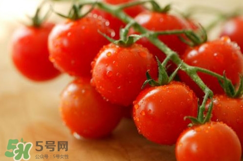 小番茄怎么洗？小番茄怎么清洗