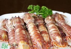 蝦爬子是寒性的嗎？蝦爬子是熱性的還是寒性的？