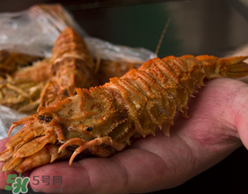 蝦爬子是皮皮蝦嗎？皮皮蝦和蝦爬子的區(qū)別