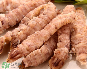 蝦爬子是皮皮蝦嗎？皮皮蝦和蝦爬子的區(qū)別